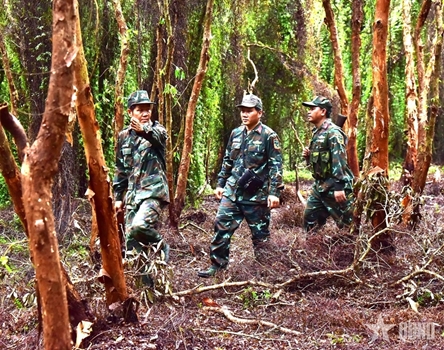 Arduous task of forest guardians in Military Region 9